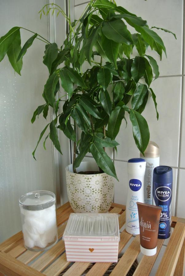 Rheinau Apartment 外观 照片